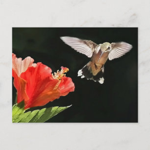 Oog op de prijs briefkaart