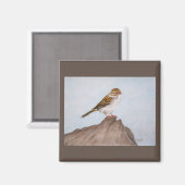 Oog op de Sparrow Magnet (Voorkant / Achterkant)