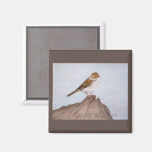 Oog op de Sparrow Magnet (Voorkant / Achterkant)