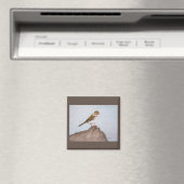 Oog op de Sparrow Magnet (Insitu (Vaatwasser))