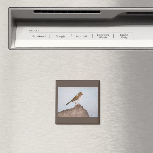 Oog op de Sparrow Magnet (Insitu (Vaatwasser))