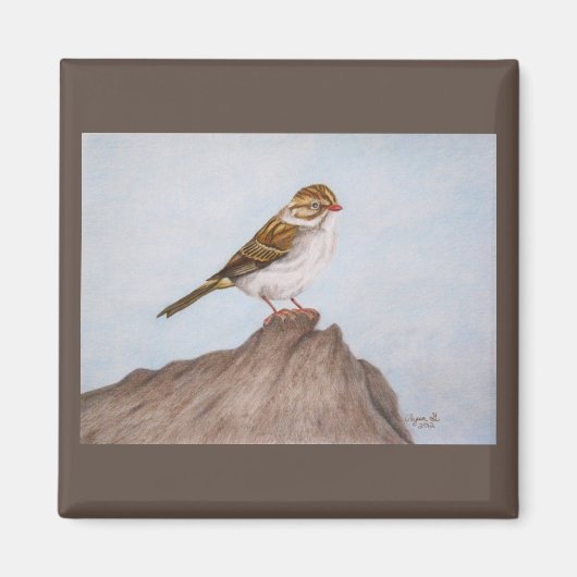 Oog op de Sparrow Magnet (Voorkant)