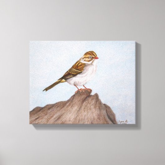 Oog op het Sparrow Wrapped Canvas Afdruk (Voorkant)
