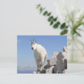 Oog op jou briefkaart (Staand voorkant)