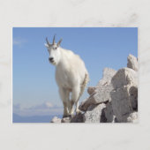 Oog op jou briefkaart (Voorkant)