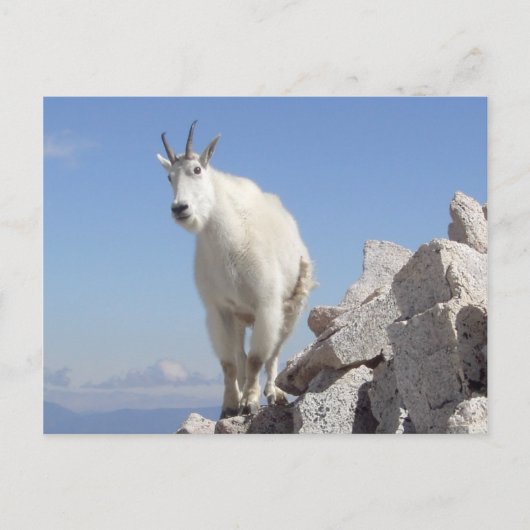 Oog op jou briefkaart (Voorkant)