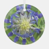 Oog Ornament van Texas Bluebonnet (Voorkant)