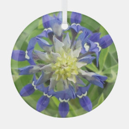 Oog Ornament van Texas Bluebonnet