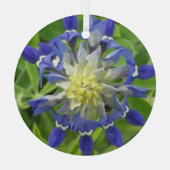 Oog Ornament van Texas Bluebonnet (Achterkant)