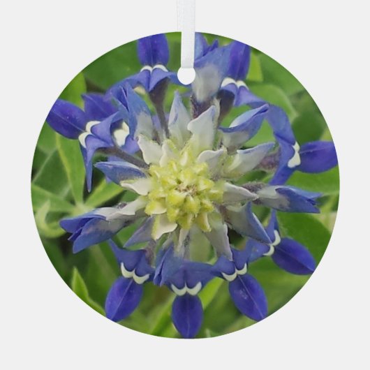 Oog Ornament van Texas Bluebonnet (Achterkant)