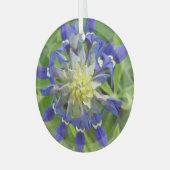 Oog Ornament van Texas Bluebonnet (Voorkant links)