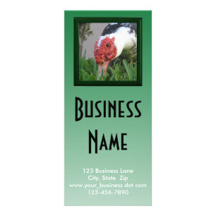 Oog van de Dichte Foto Bedrijfs Sjabloon van de Du Reclamekaart