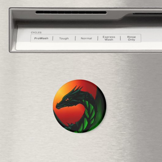 Oog van de draak magneet (Insitu (Vaatwasser))