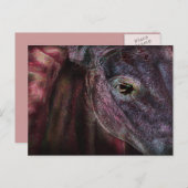Oog van de houder - Postkaart (Voorkant / Achterkant)