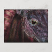Oog van de houder - Postkaart (Voorkant)