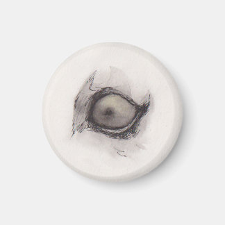 Oog van de Hyena – Gaze Collection Magneet