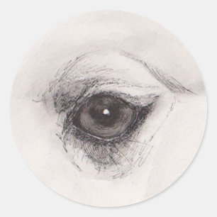 Oog van de Kameel – Gaze Collectie Ronde Sticker