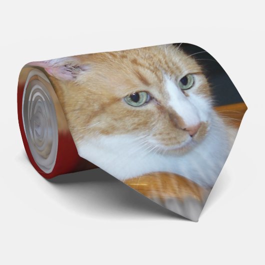 Oog van de kat stropdas (Opgerold)