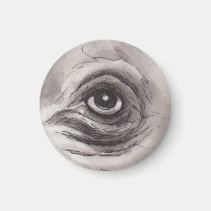 Oog van de Nijlpaard – Blik Collectie Magneet