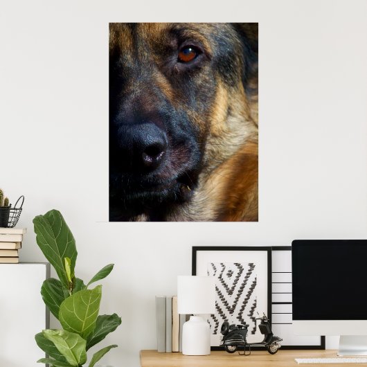 Oog van de Prints van Shepherd Fine Art (Thuiskantoor)