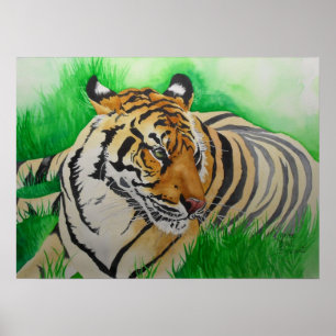 Oog van de Tigress Poster