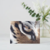 Oog van de tijger briefkaart (Staand voorkant)