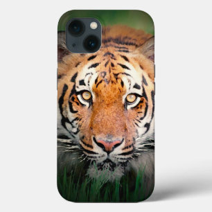 Oog van de tijger Case-Mate iPhone case