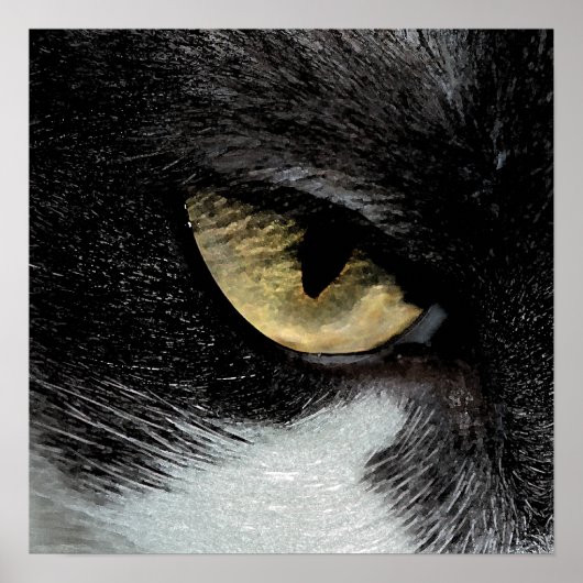 Oog van de tijger poster (Voorkant)