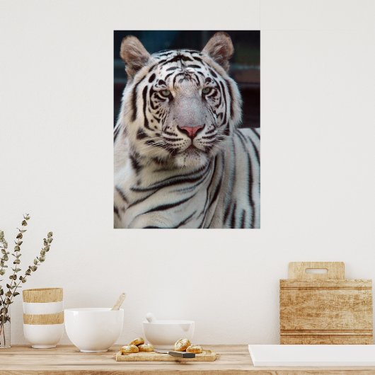 Oog van de tijger poster (Keuken)