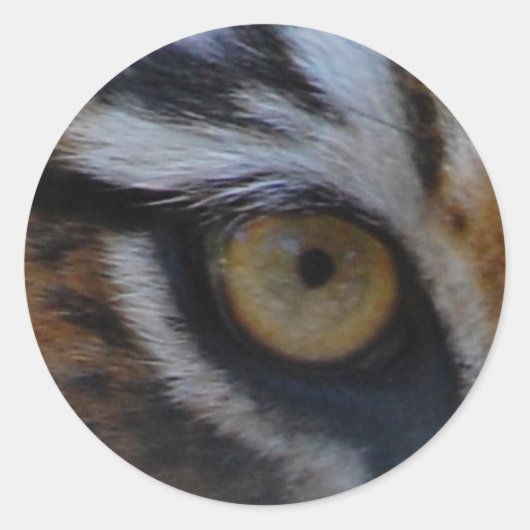 Oog van de tijger ronde sticker (Voorkant)
