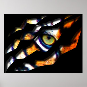 Oog van de tijgerscheur door poster