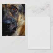 Oog van de Visitekaartjes van Shepherd (Voorkant / Achterkant)