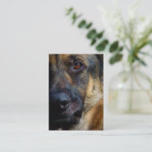 Oog van de Visitekaartjes van Shepherd (Staand voorkant)