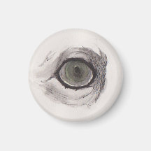 Oog van de Vos – Blikcollectie