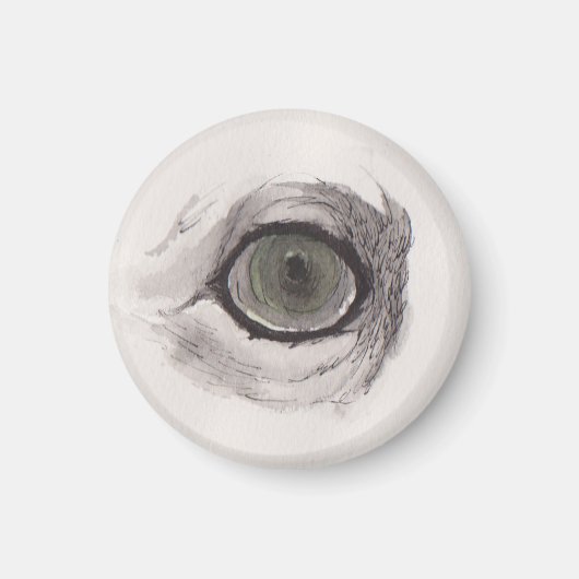 Oog van de Vos – Blikcollectie Magneet (Voorkant)