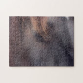 Oog van een besmet paardendier legpuzzel (Horizontaal)