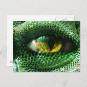 Oog van een... briefkaart (Voorkant / Achterkant)