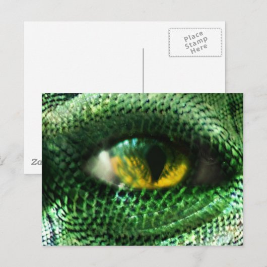 Oog van een... briefkaart (Voorkant / Achterkant)