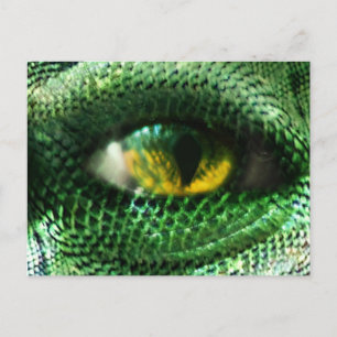 Oog van een... briefkaart