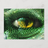 Oog van een... briefkaart (Voorkant)