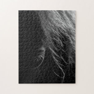 Oog van een paard legpuzzel