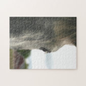 Oog van een paardendier legpuzzel (Horizontaal)