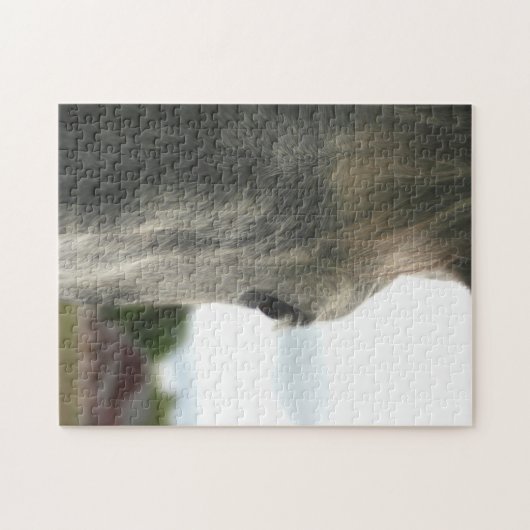 Oog van een paardendier legpuzzel (Horizontaal)