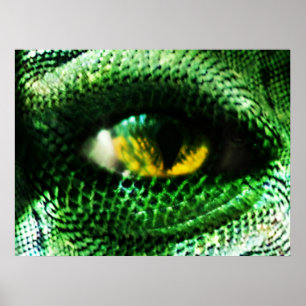 Oog van een ...? poster