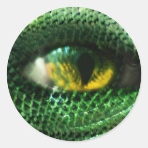 Oog van een... ronde sticker