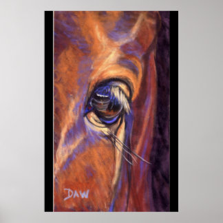 Oog van een Thoroughbred Poster