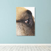 Oog van Grote Deen Canvas Afdruk (Insitu (Houten vloer))