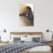 Oog van Grote Deen Canvas Afdruk (Insitu (Slaapkamer))