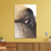 Oog van Grote Deen Canvas Afdruk (Insitu (Woonkamer))