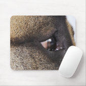Oog van Grote Deen Muismat (Met muis)